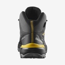 Salomon Bota X Ultra 360 GTX M Gris